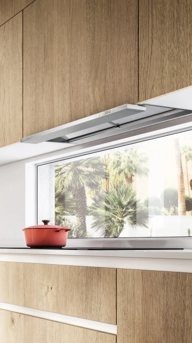 Cooker Hoods Built-in without cabinet base Boxin Dry hero