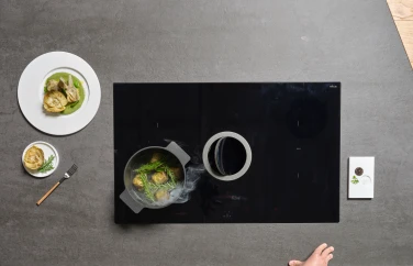 Hobs Extractor NikolaTesla Invert gallery 4
