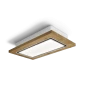 Cooker Hoods Ceiling cooker hoods Lullaby Oak 120 download card